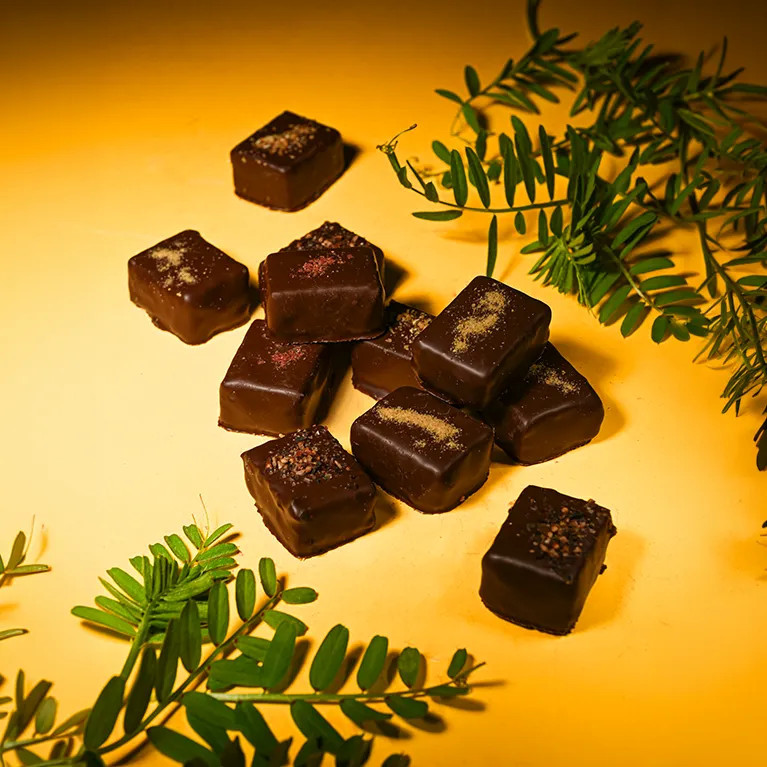 Coffret de chocolats fourrés aux pâtes de fruits | L'art du chocolat · Le Roy René