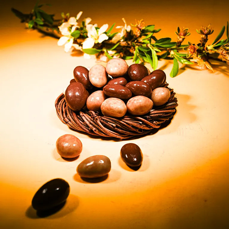Chocolate & nougat cream coated almonds | Chocolate · Le Roy René