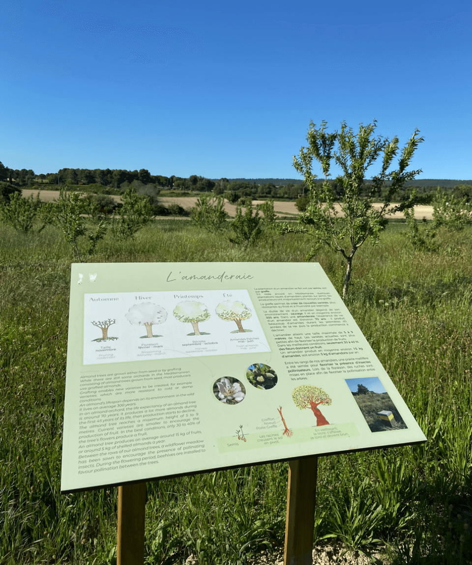 Le musée du Calisson