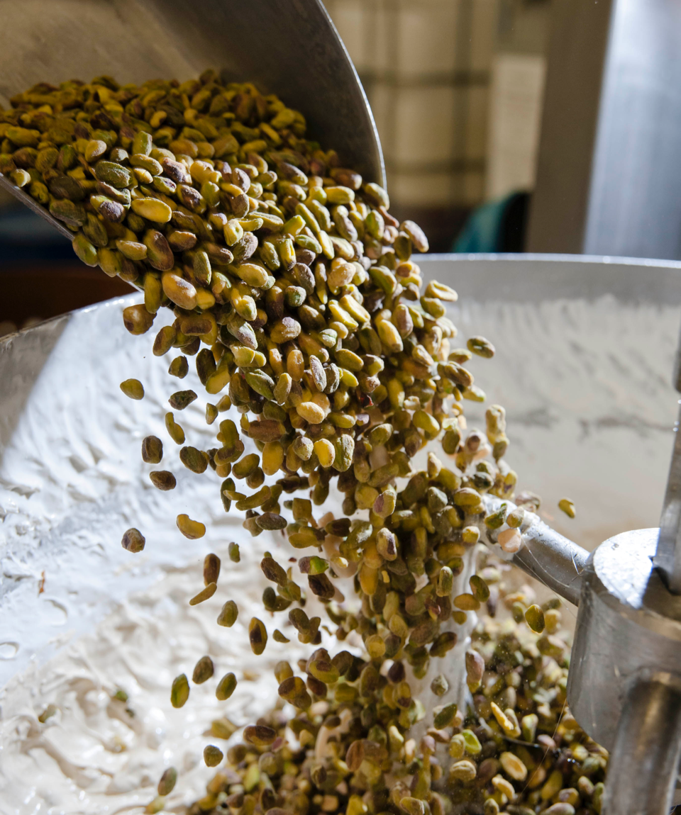 Pistachios in the reconquest of Provence