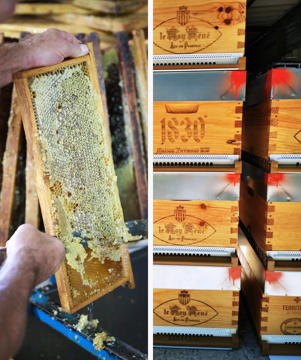 Le miel de provence